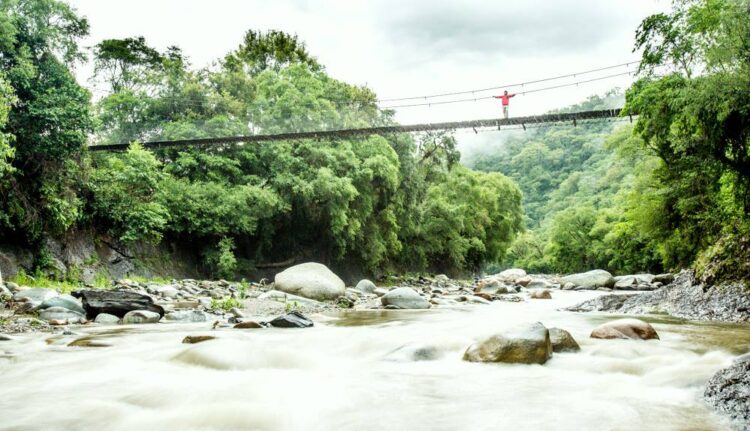 Puente colgante en Parque Nacional Baritu